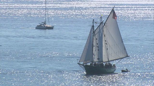 航拍Thomas E. lanon游艇在平静的水域航行/美国马萨诸塞州格洛斯特视频下载