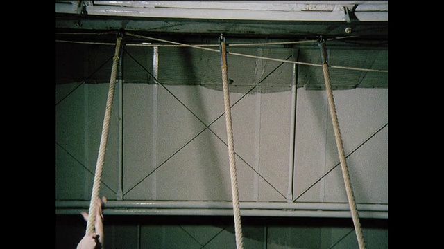 蒙太奇学校男孩在体育课上爬绳索和梯子/英国视频下载