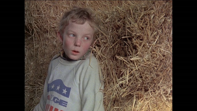 蒙太奇男孩躲在干草堆后面/男人驾驶拖拉机在农场/英国视频下载