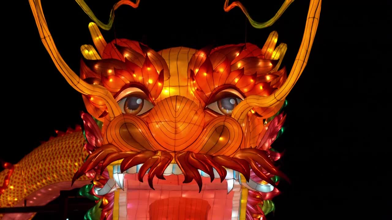 北京什刹海荷花市场元宵节灯会传统文化龙年loong视频下载