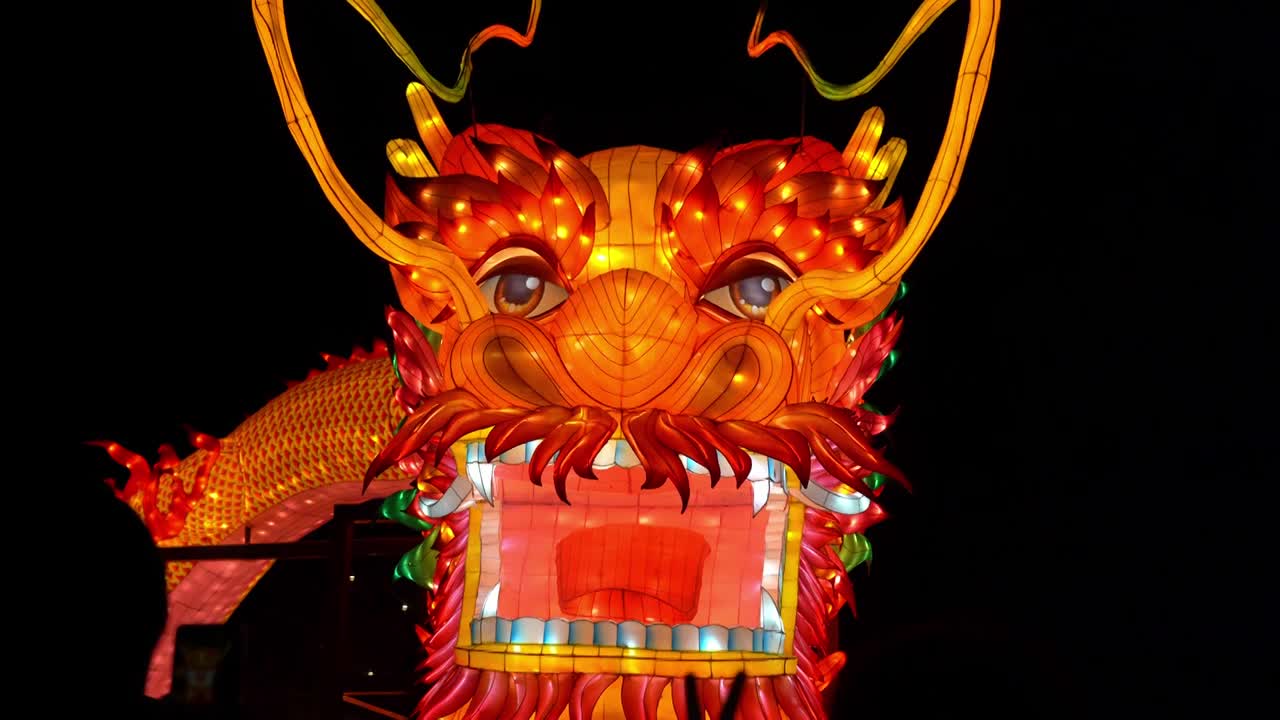 北京什刹海荷花市场元宵节灯会传统文化龙年loong视频下载