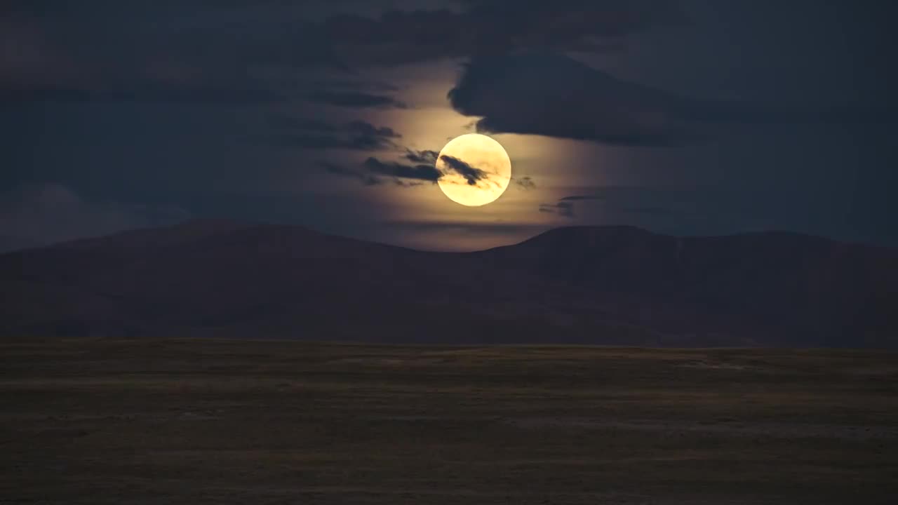 西藏高原满月升起与藏野驴活动视频下载